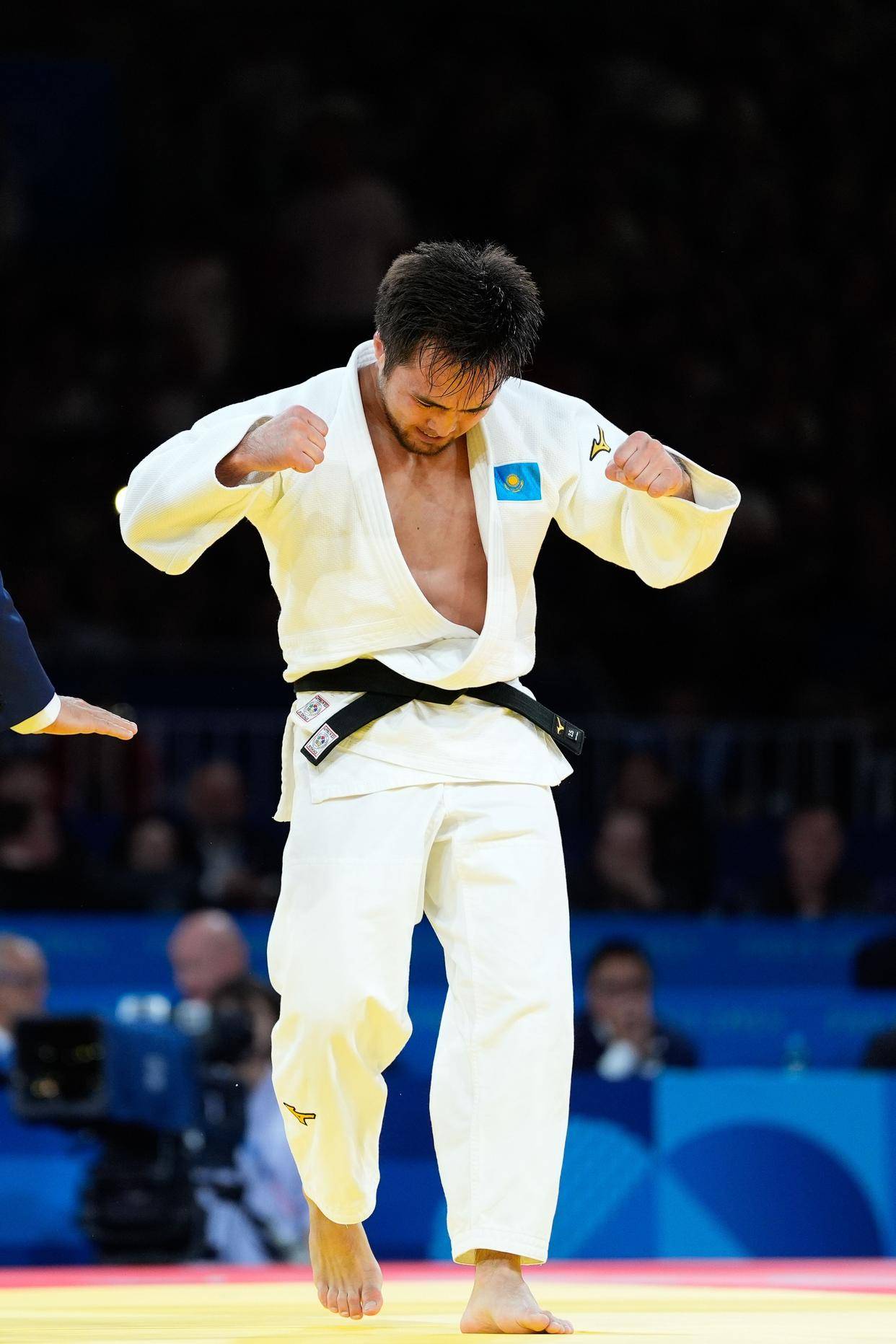 爱尔兰选手在柔道比赛中大放异彩