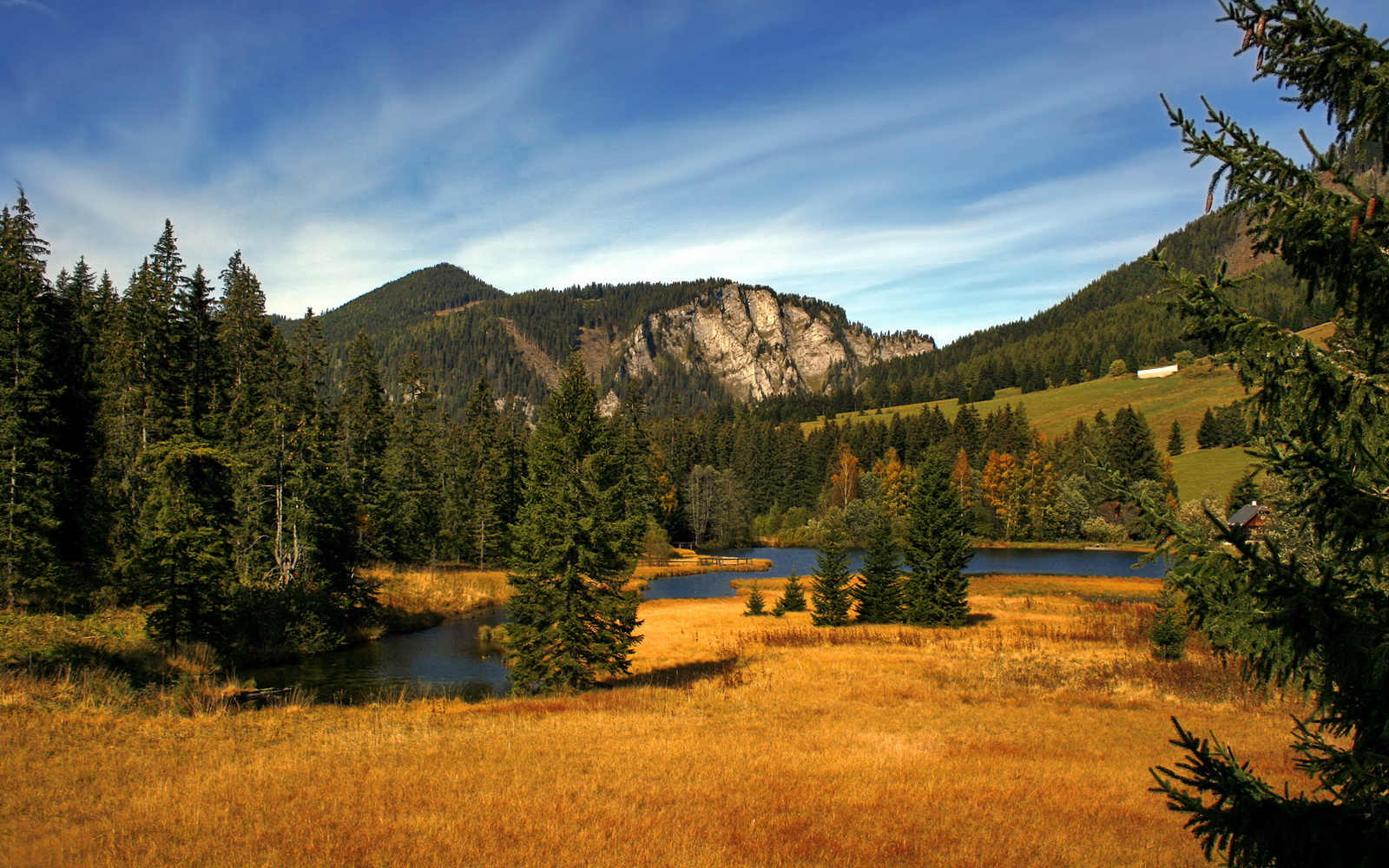 独步西决之夜,伦纳德的沉默交响曲