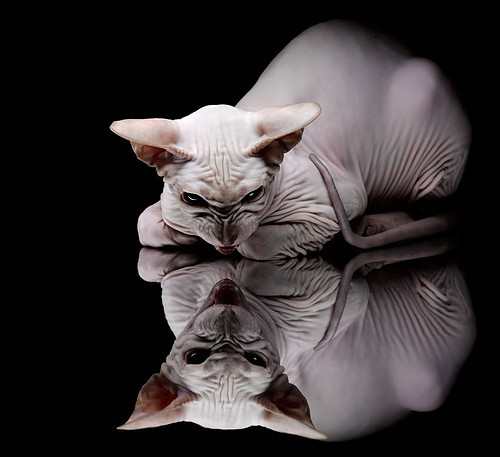 篮球世界杯，当NBA季后赛遇见亚洲风暴