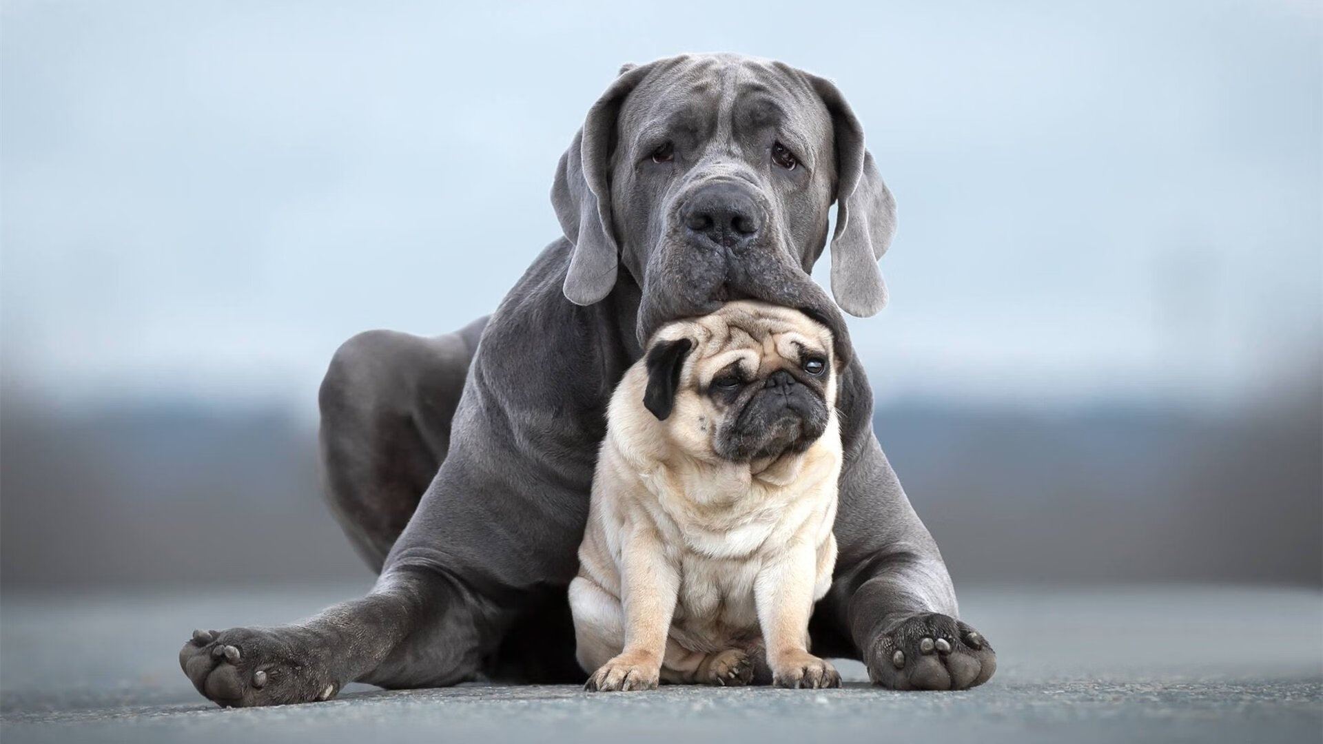 改写剧本,墨西哥强势晋级土耳其,巴斯托尼成为关键先生