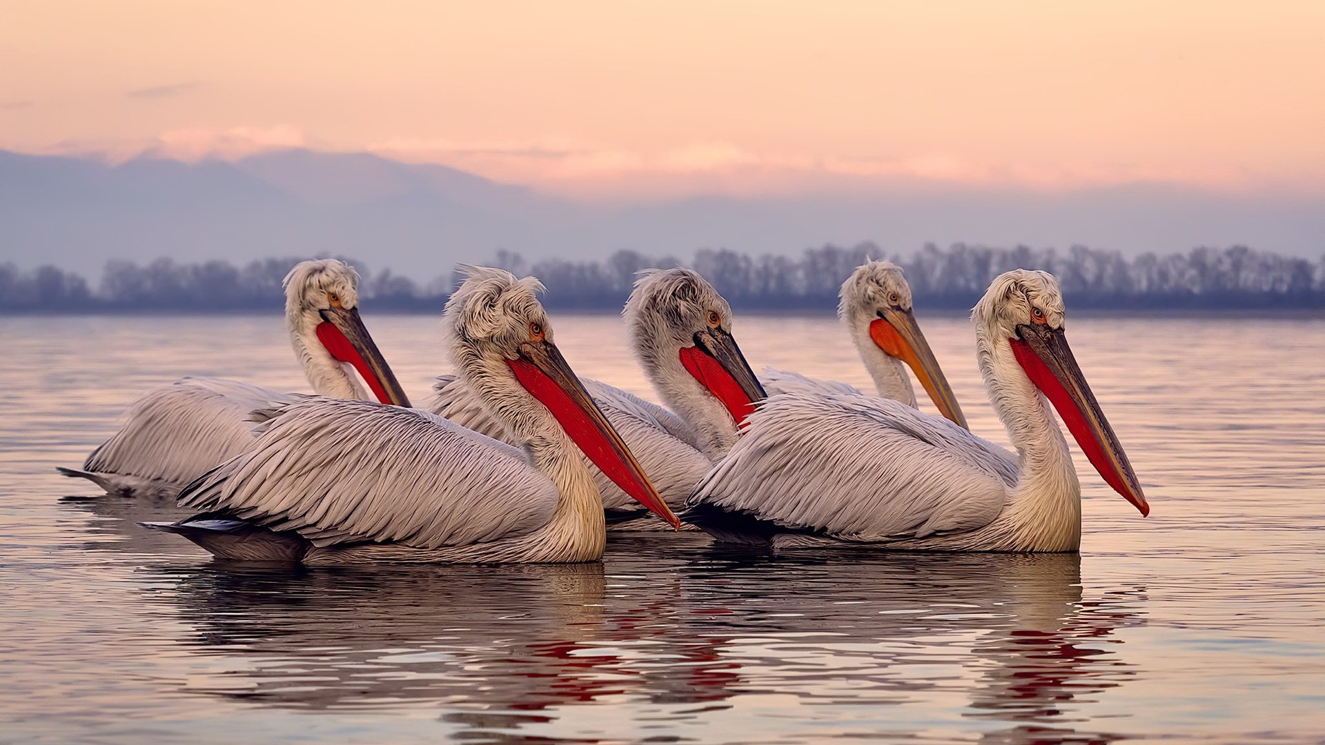 历史首次！广东队正面击溃雄鹿 布克49分成关键先生