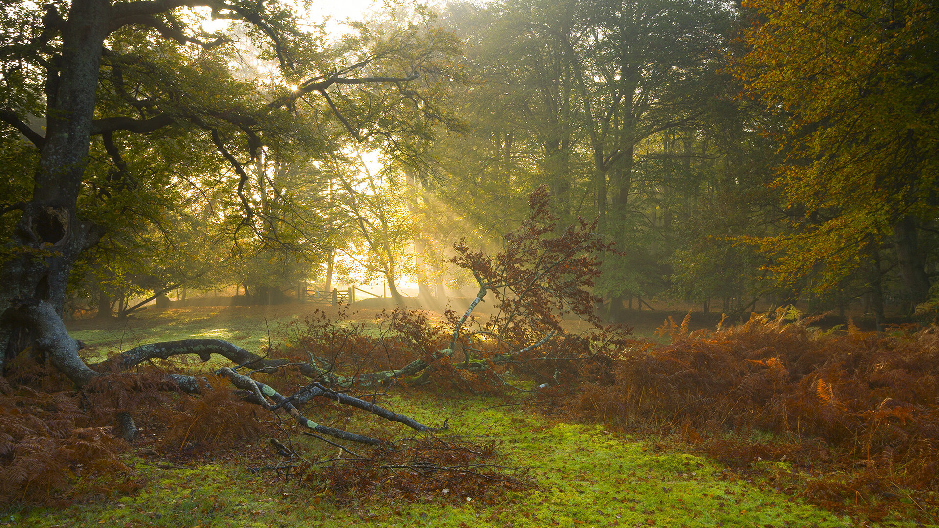 冰与火之歌，当挪威冰川遇见哥斯达黎加熔岩，与那个无解的男人