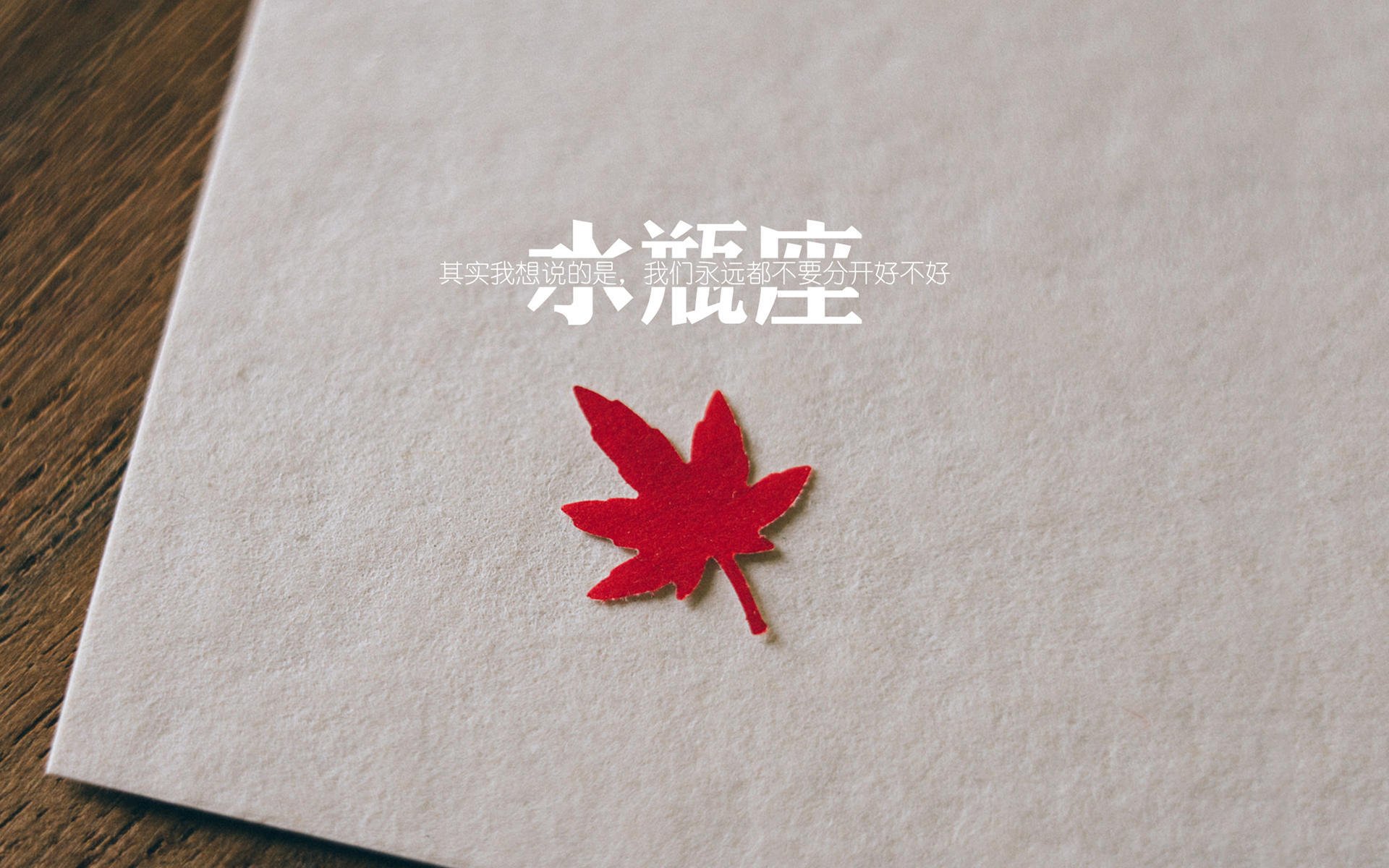 沙漠风暴席卷北美,2026世界杯F组关键战,齐耶赫导演伊拉克完胜美国