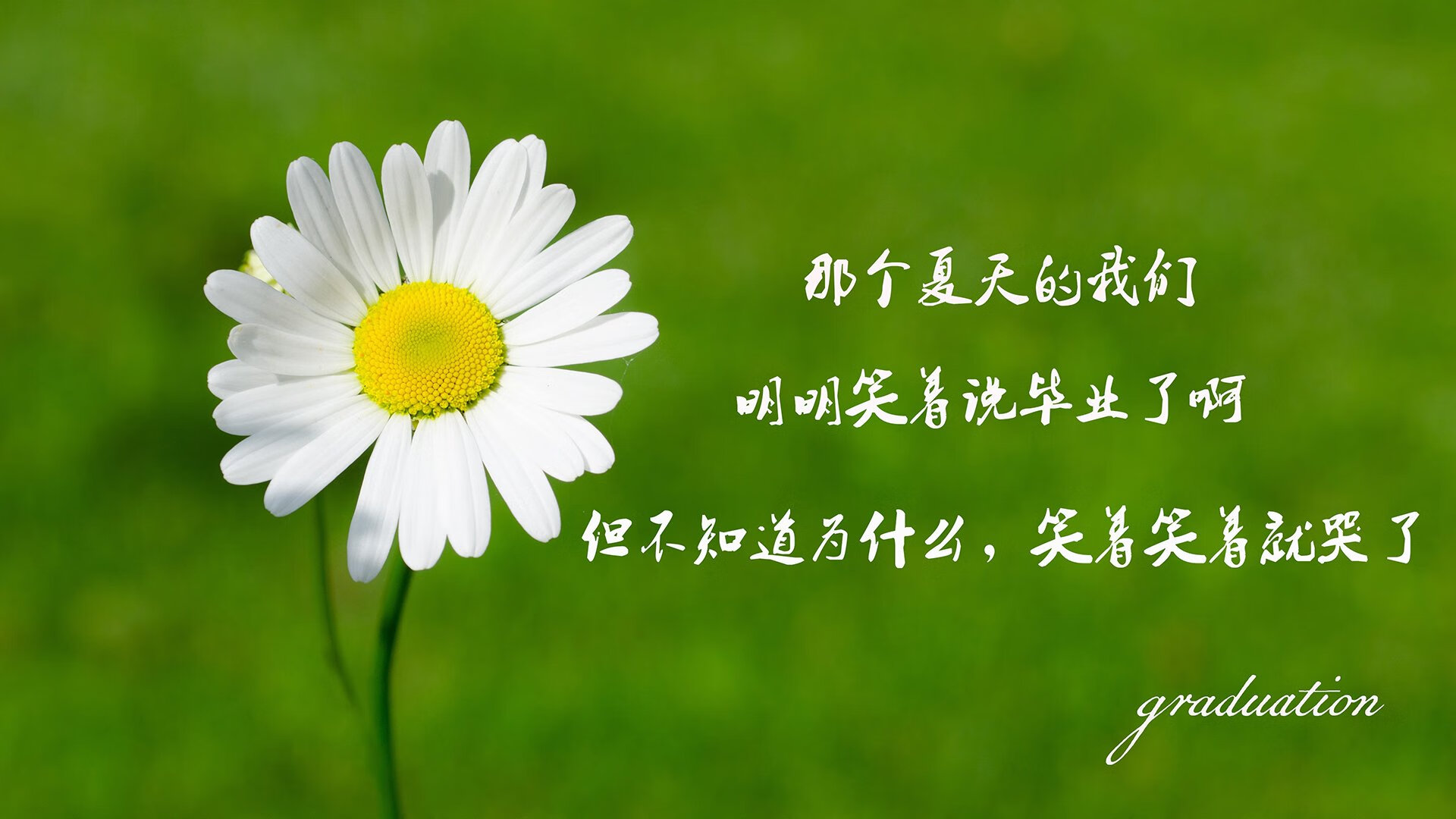 选择(三选一,风格不同)